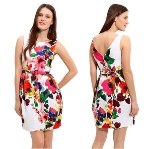 Eliza J cotton floral dress M/L
